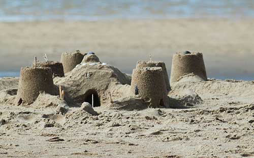 sand castle