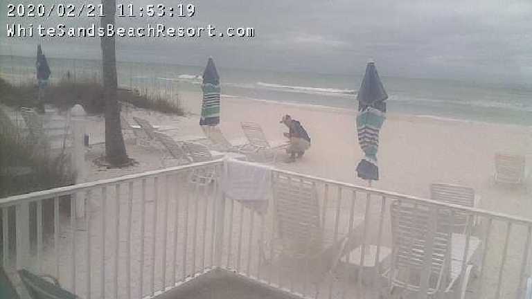 White Sands Beach Resort Webcam Beach View 2