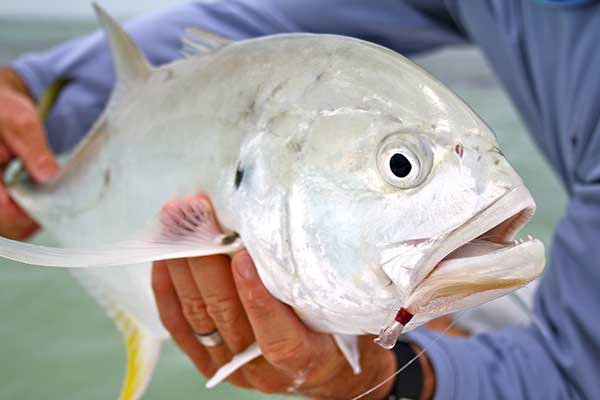 Salt Water Fishing  Tropical Breeze Beach Club