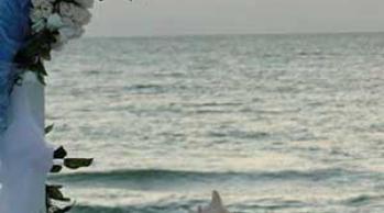 Beach wedding on Anna Maria Island at White Sands Beach Resort